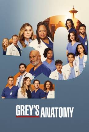 Série Anatomia de Grey - 20ª Temporada Legendada 2024 Download